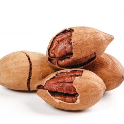  Pecan