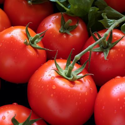 The Origin of Tomatoes